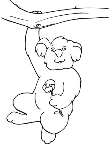 Funny Koala Hanging On A Tree Coloring Page